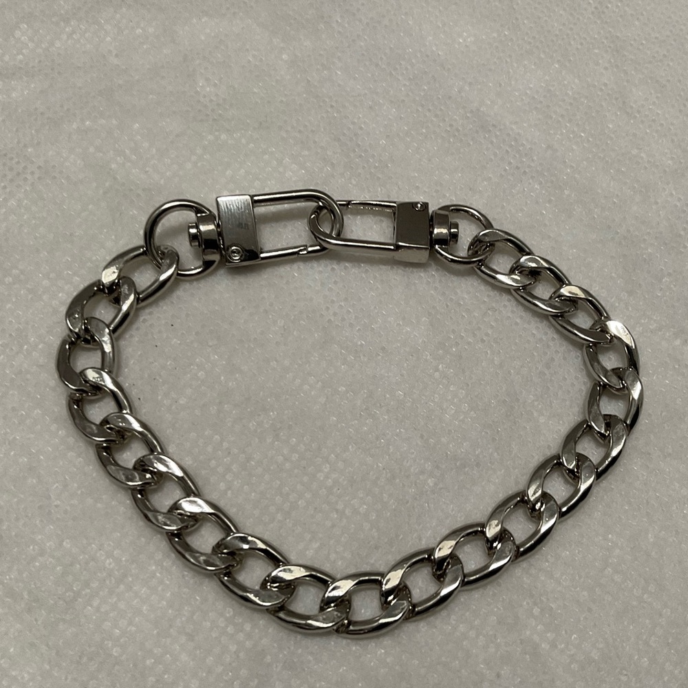 Classic Replacement Strap Silver - image 1